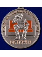 Медаль Ветеран Диванных войск